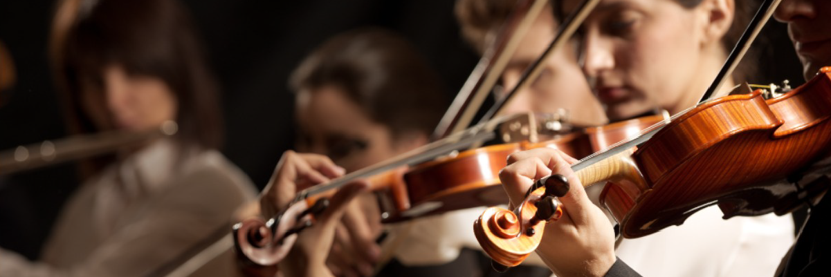 Orquesta Preinfantil 