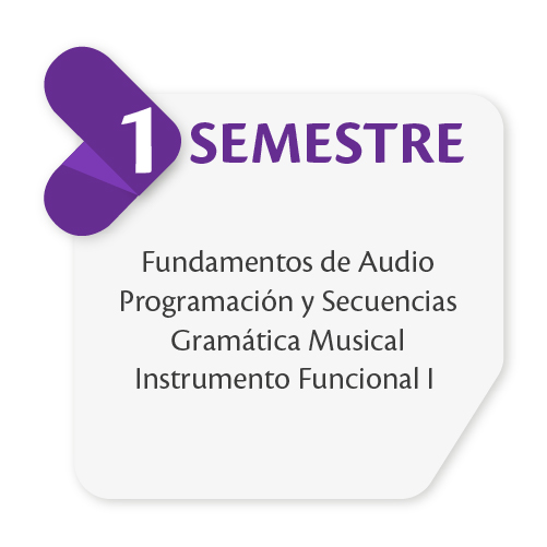 Primer Semestre