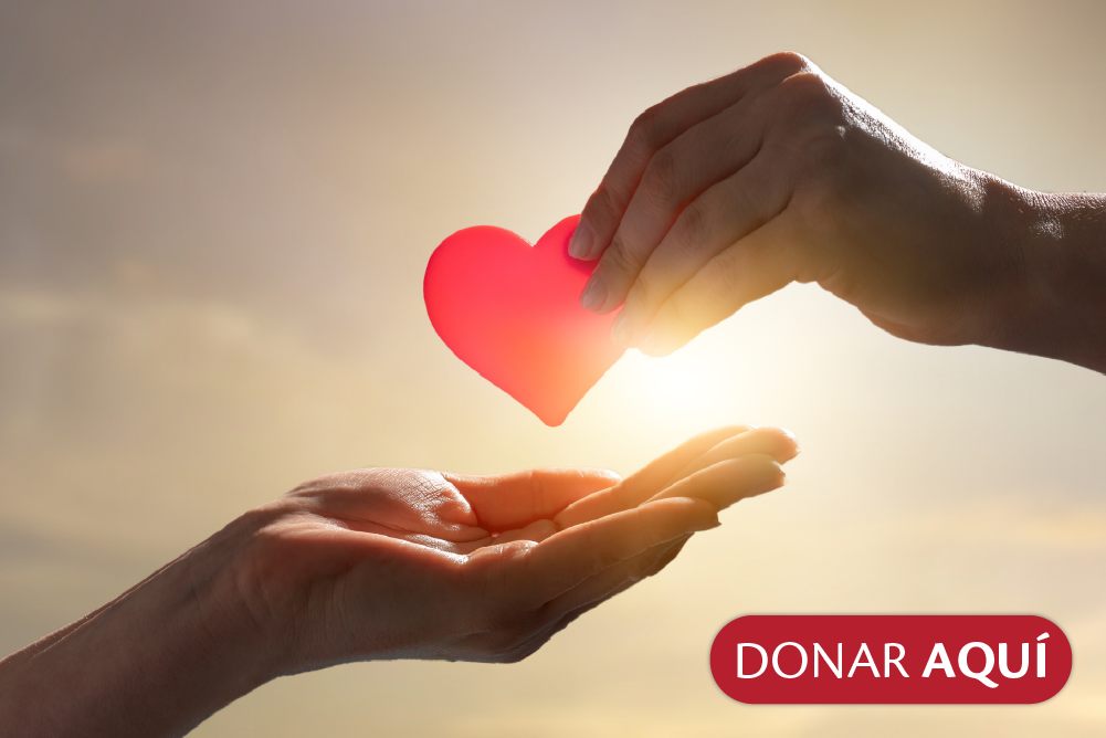 Donar aquí